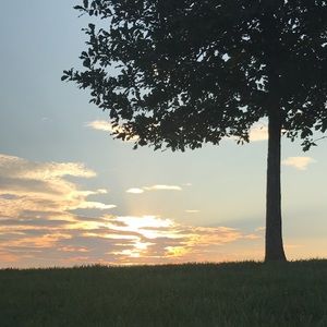 Meet your Posher, Ariana